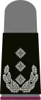 a. Black base textile with bright-grey emblems – Heer (here: colonel NBC defense corps, grey pullover)