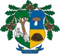 Coat of arms of Nagyhuta