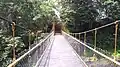 Hanging Bridge