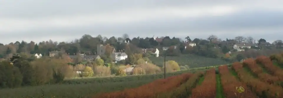 Harbledown across the orchards which surround it