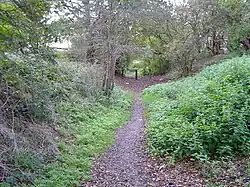 The Belmont Trail as it now appears