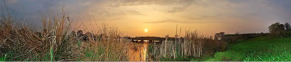 The fen "Hazenputten" in the Vresselse Bossen in Nijnsel