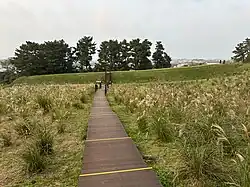 A wooden path leading down a hill towards a raised earthen wall covered in grass