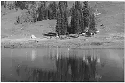 A black and white photo of several horses and a tent near a cluster of trees, in a meadow on the shore of a lake