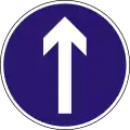 D-001 Proceed straight only