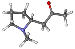 Ball-and-stick model of hygrine molecule