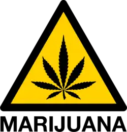 A symbol of a yellow diamond with black outlines with a black marijuana leaf inside, the word "Marijuana" is listed below in black