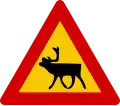 Watch for reindeer