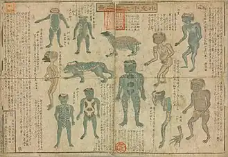 A book illustrating twelve kinds of kappa