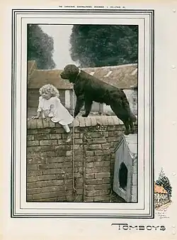 A young blond-haired child sits on a brick wall with her black dog, both looking at someone or something in the distance, 1925, published in The Queenslander, 5 December 1925, p.&nbsp;26.