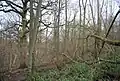 Brookland Wood