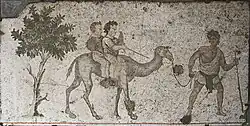 Dromedary ride