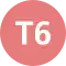 Line T6