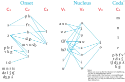 A visual representation of Italian phonotactics.