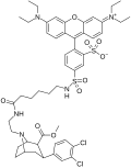 JHC1-64.[53] A fluorescent analog, similar in its long chain off of the nitrogen bridge similar to the transition metal phenyltropane types.