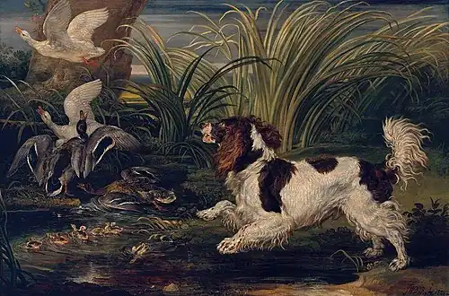 A Spaniel Frightening Ducks, 1821
