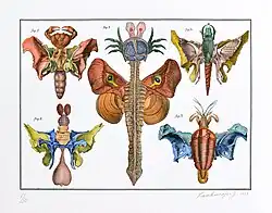 Bilderlexikon - Hexapoda 5 (2023), litography