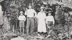Japanese family on a banana plantation in Brazil (c1930)