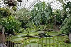 Botanischer Garten