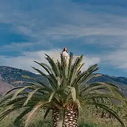 Lanza standing atop a palm tree