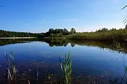 Lake in Postołowo