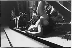 Sacrifice (performance 1992)