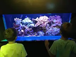 Florida Aquarium Educational Program for Kids - Josh Vignona