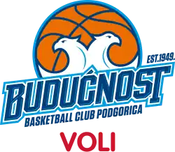 Budućnost VOLI logo