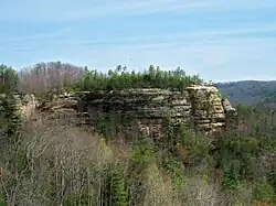Rock cliff within the park.