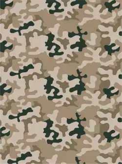 Desert variant of Wz.93 (Also known as "PL Desert")