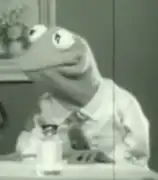 Kermit the Frog, a world-famous rod puppet