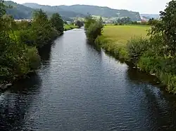 The River Kinzig passing through the Black Forest