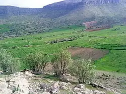 Green grass in prairie with blueish gray ridge in background