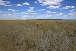 Kurumbel Steppe in 2010