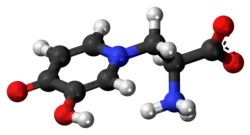 Ball-and-stick model of the L-mimosine zwitterion