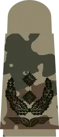 black emblem on 3-color-flecktarn – Luftwaffe (Lieutenant colonel)