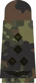 black emblem on 5-colour-flecktarn – Luftwaffe (Stabshauptmann)