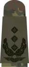 Aufschiebeschlaufe Feldanzug Dienstanzug Luftwaffenuniformträger Oberst
