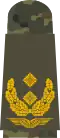 c. Major general (flecktarn uniform – Luftwaffe)