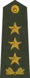 Ģenerālleitnants[31] (Latvian Land Forces)