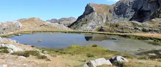 A shallow looking body of water.