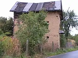 side view of a daub faced laimes