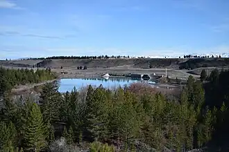 A small lake surrounded by pine trees with a large canal bank in the background