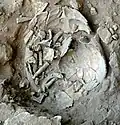 Burial 6. Excavation at exposition 13.
