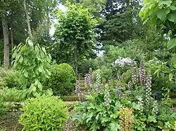 A verdant section of the gardens