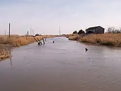 Picture of Little Creek from DE 9 bridge
