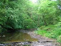 Typical limestone (cornstone) based woodlands rich in Herb Paris colonies.