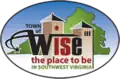 Official logo of Wise