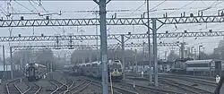 Multiple trains at Long Branch Station Yard