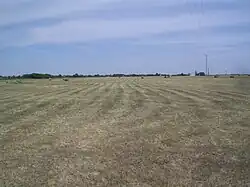 Plain near Mártély